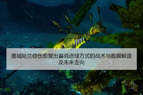 man-cheng-ha-lan-de-shang-yu-fu-chu-shou-zhan-jin-qiu-fang-shi-de-zhan-shu-yu-shu-ju-jie-du-ji-wei-lai-zou-xiang-2-780.jpg