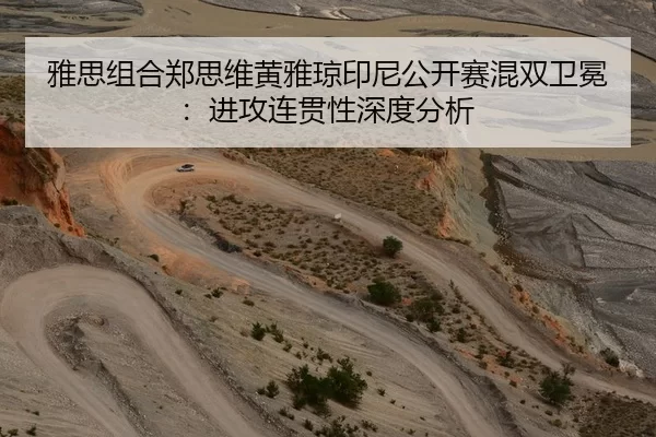 雅思组合郑思维黄雅琼印尼公开赛混双卫冕：进攻连贯性深度分析